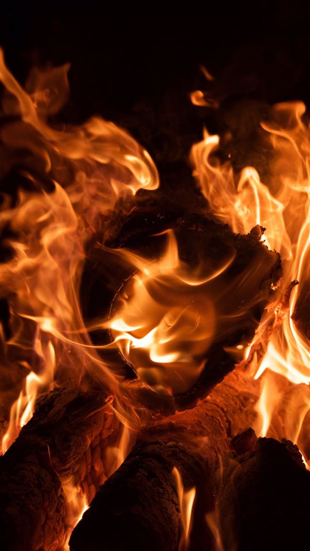 1290x2796 flame from woods -  iphone 14 Wallpaper