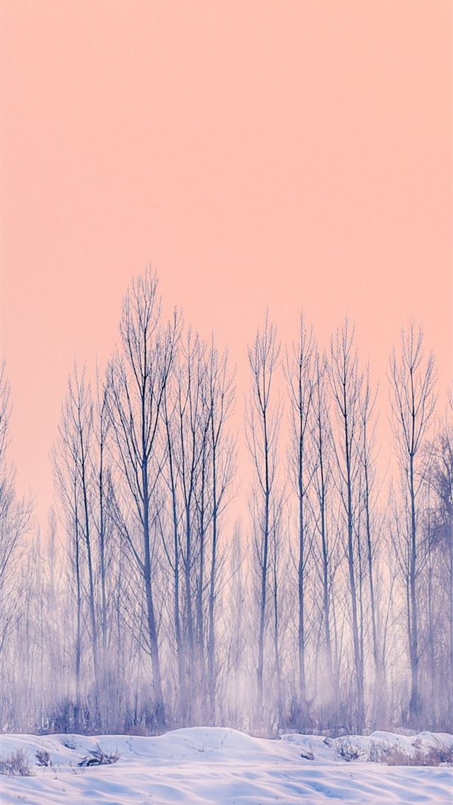 1290x2796 snowfall with dried trees 4k -  iPhone Wallpaper