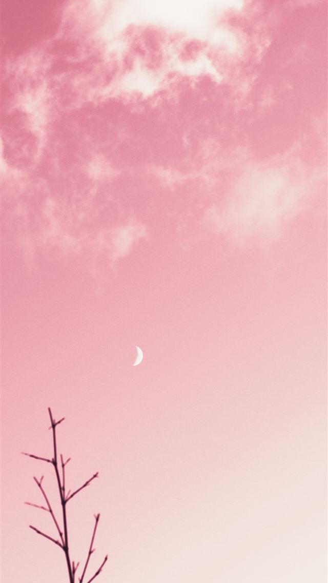 1290x2796 pink and blue sky with moon - pink iPhone Wallpaper