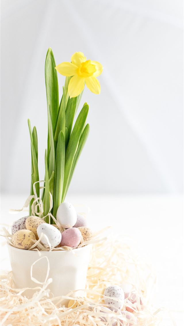 1290x2796 yellow flower - spring iPhone Wallpaper