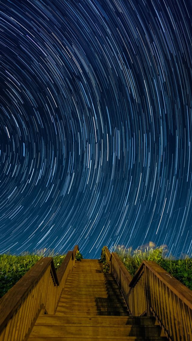 1290x2796 empty brown concrete stairs beside green grass und... -  iphone 14 Wallpaper