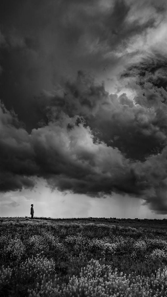 1290x2796 grayscale photo of grass field under cloudy sky - rain iPhone Wallpaper