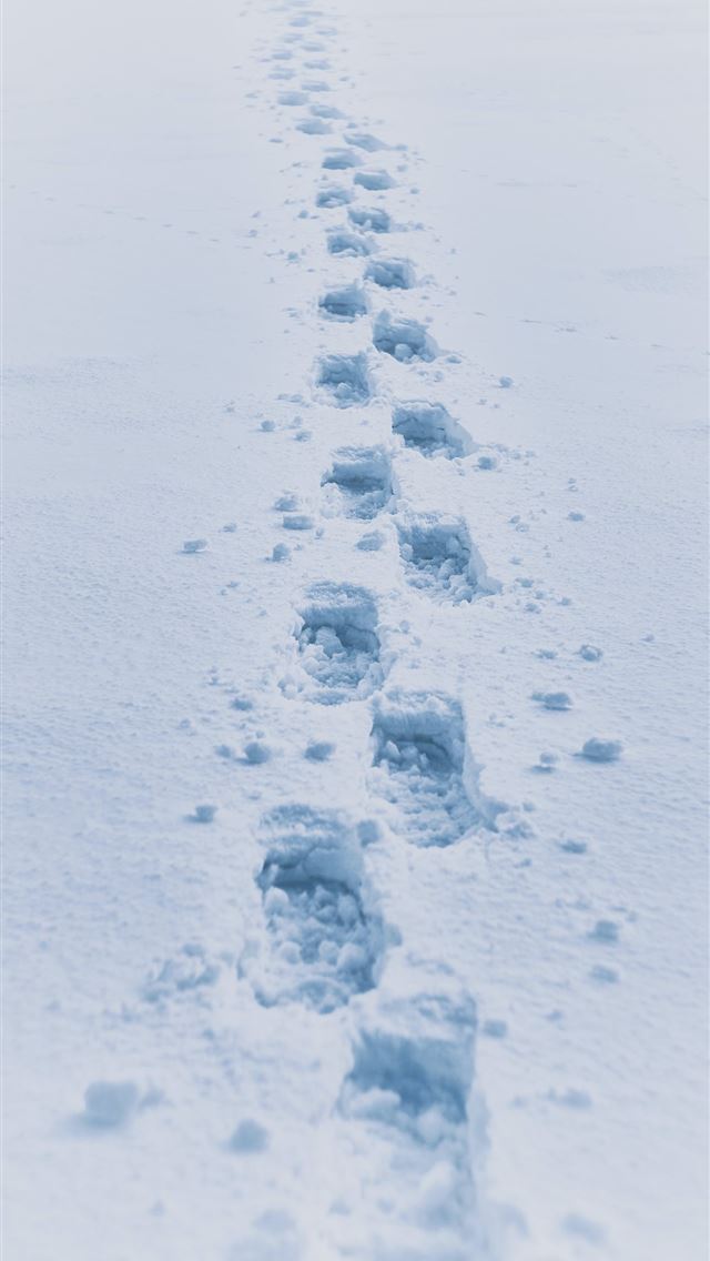 1290x2796 footprint in snow - winter iPhone Wallpaper