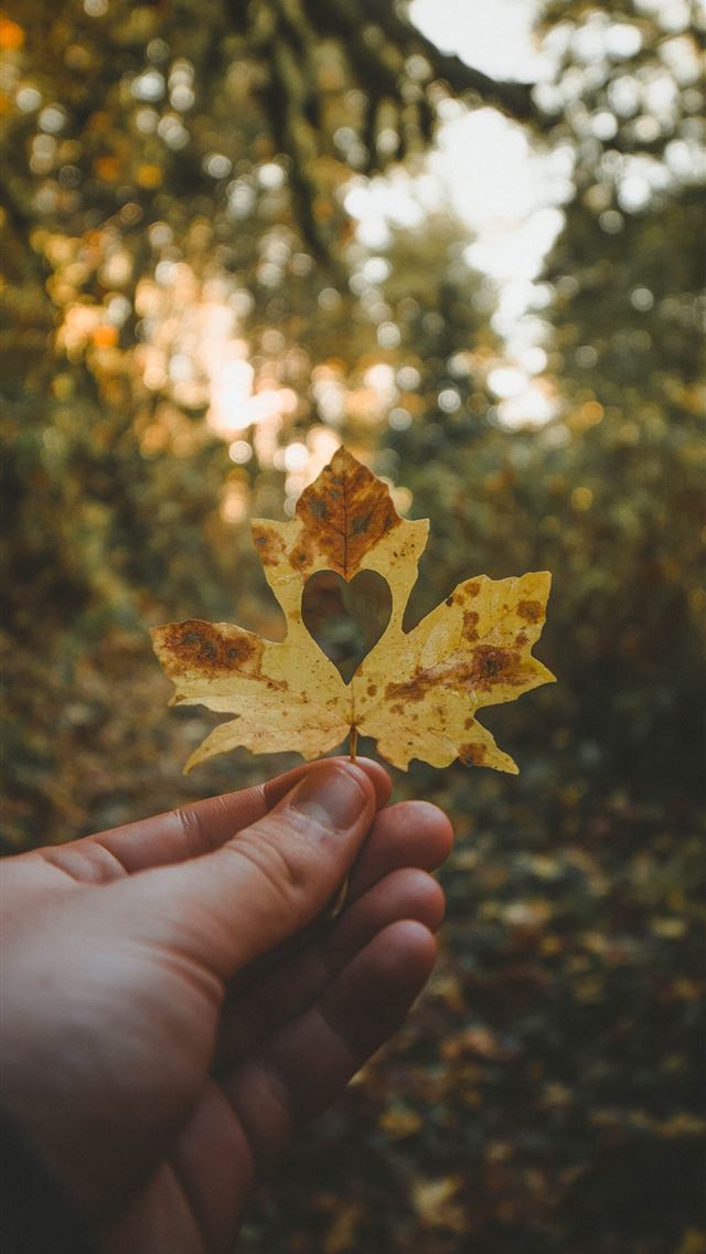 1290x2796 person holding dried leaf with heart hole - heart iPhone Wallpaper