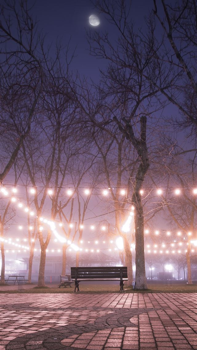 1290x2796 brown wooden bench near bare tree - trees iPhone Wallpaper