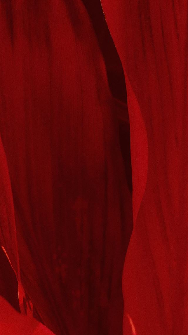1290x2796 red scoop neck long sleeve shirt - red iPhone Wallpaper