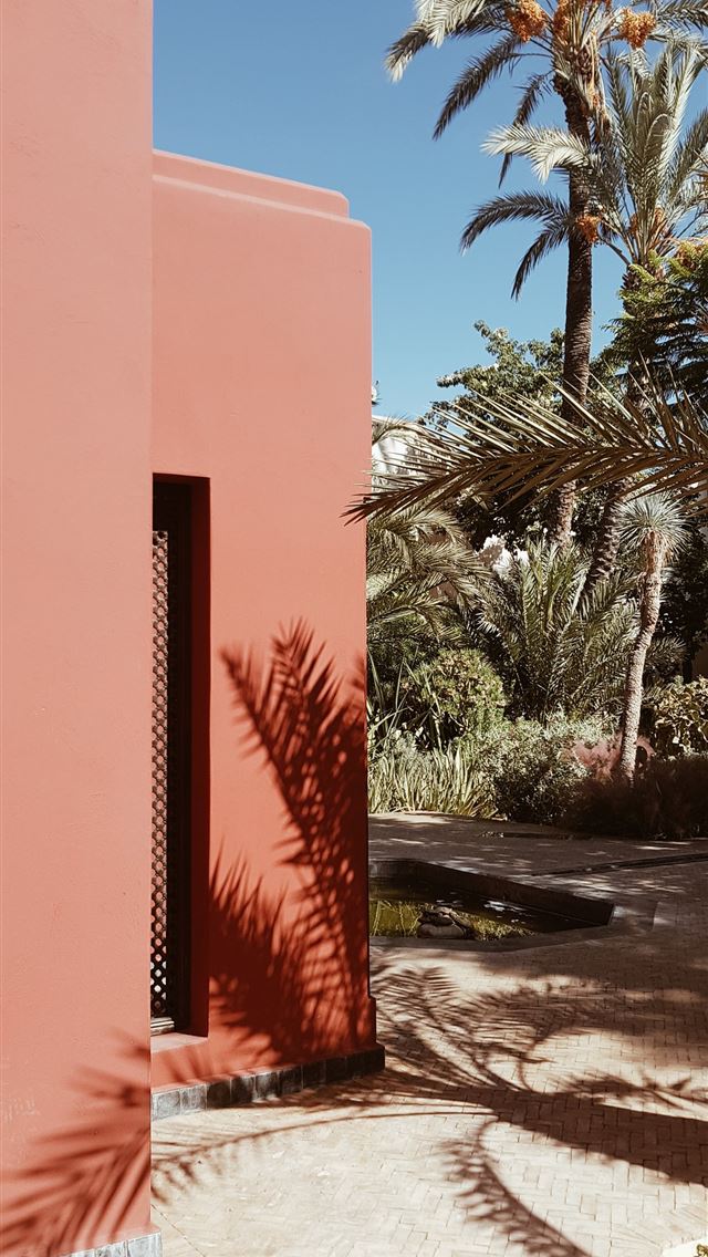 1290x2796 green palm tree during daytime - palm tree iPhone Wallpaper
