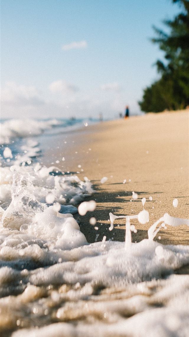 1290x2796 closeup photo of ocean - trees iPhone Wallpaper
