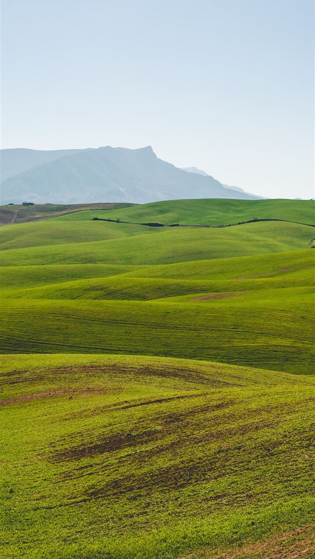 HD wallpaper: Sunlight on country, green grass field, landscape | Wallpaper  Flare