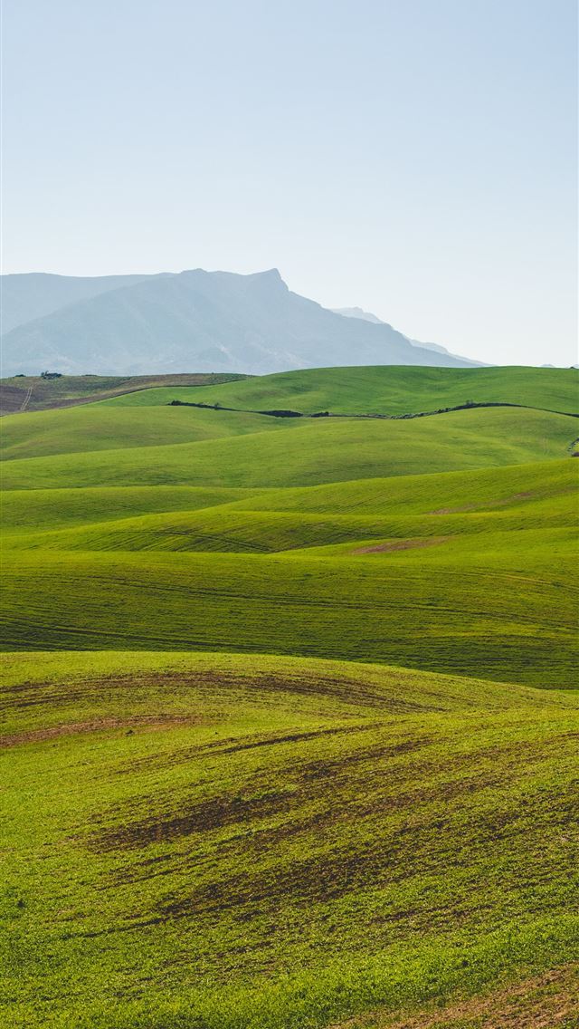1290x2796 green grassland under clear sky - grass iPhone Wallpaper