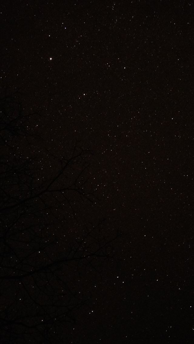 1290x2796 view of starry night - oled iPhone Wallpaper