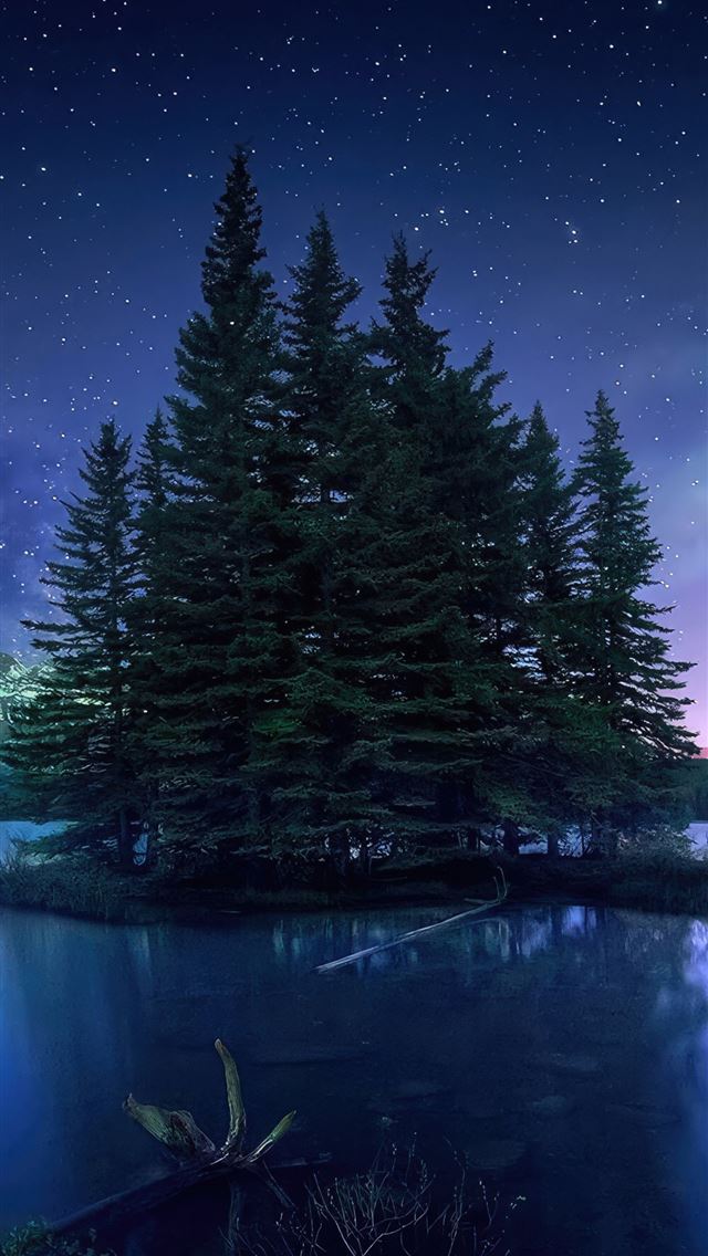 1290x2796 straight out of a fairytale - nature iPhone Wallpaper