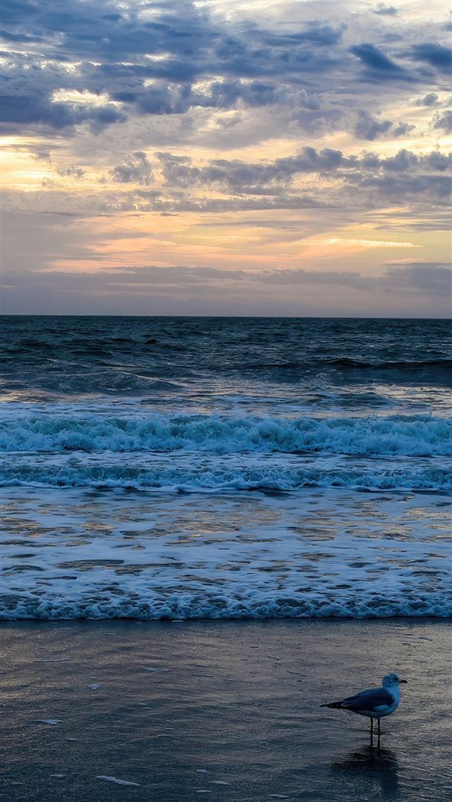 1290x2796 sunrise ocean 4k -  iphone 14 Wallpaper