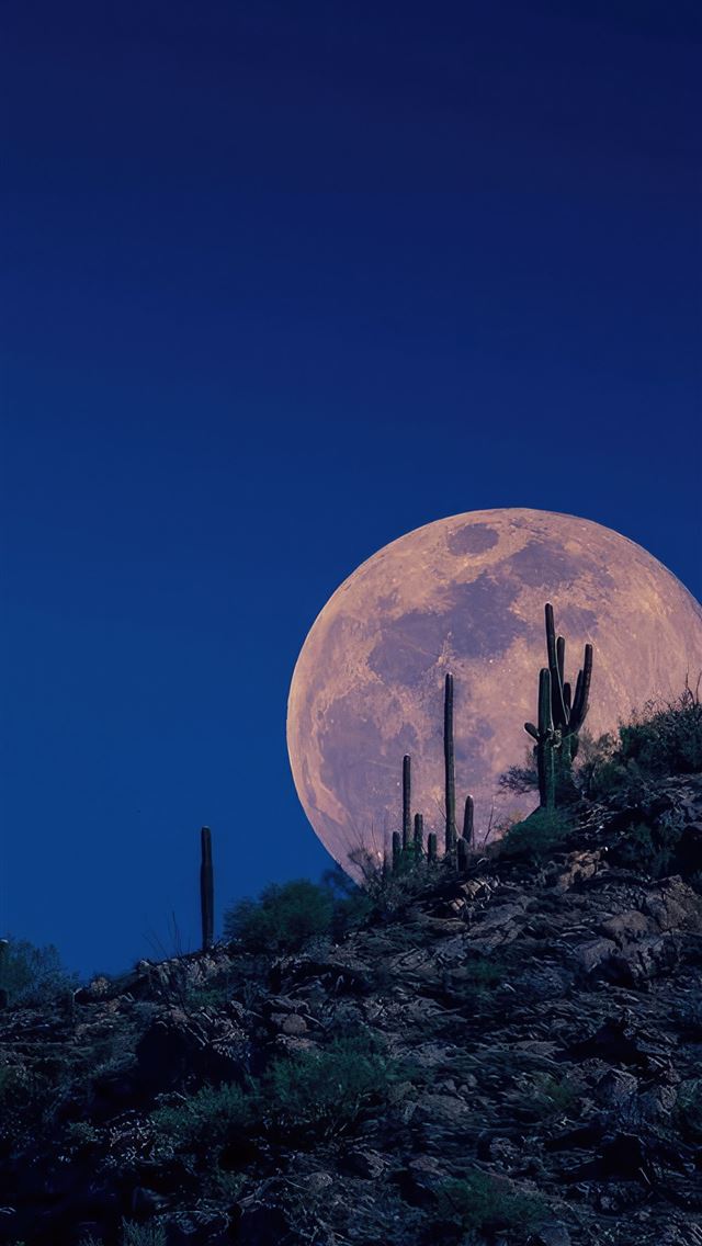1290x2796 moon appears in the night sky - nature iPhone Wallpaper