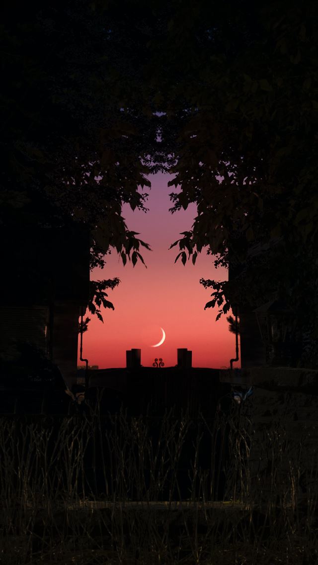 1290x2796 a view of the moon through a window at night - phone iPhone Wallpaper