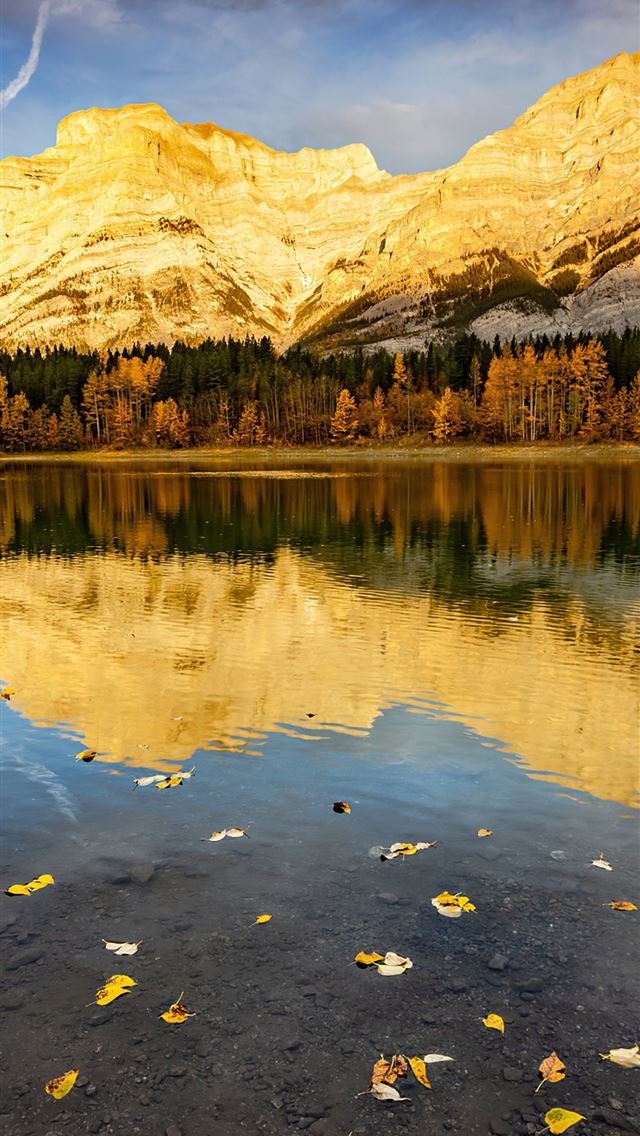 1290x2796 fall leaves wedge 4k - nature iPhone Wallpaper