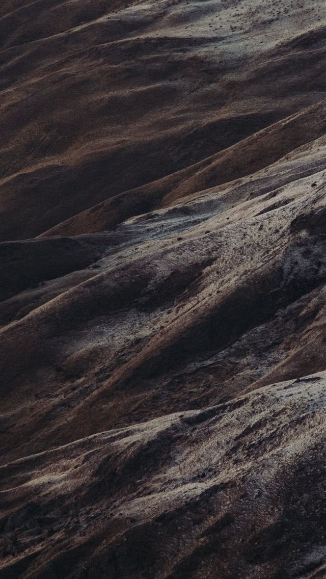 1290x2796 a lone sheep standing on top of a mountain - wood iPhone Wallpaper