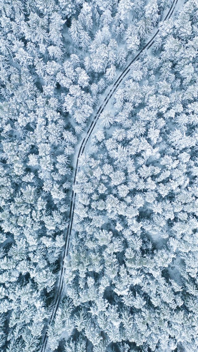 640x1136 aerial photograph of forest -  iPhone Wallpaper