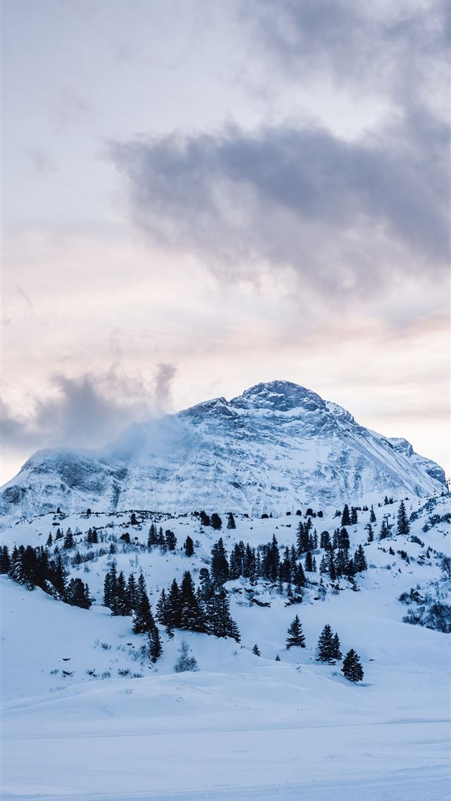 1290x2796 trees on hill - mountain iPhone Wallpaper