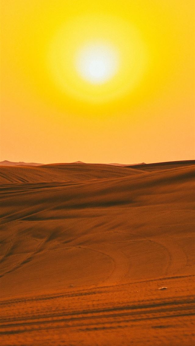 1290x2796 brown sand field - nature iPhone Wallpaper