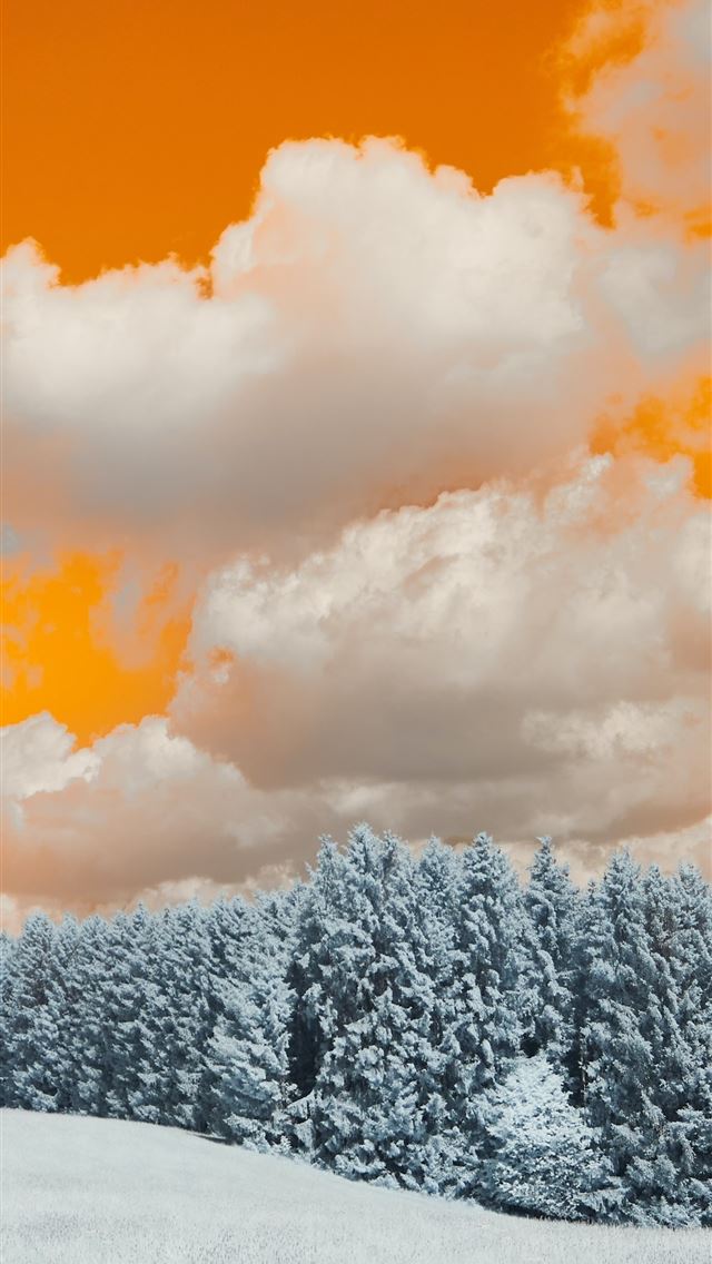 1290x2796 a snow covered field with trees under a cloudy sky - nature iPhone Wallpaper