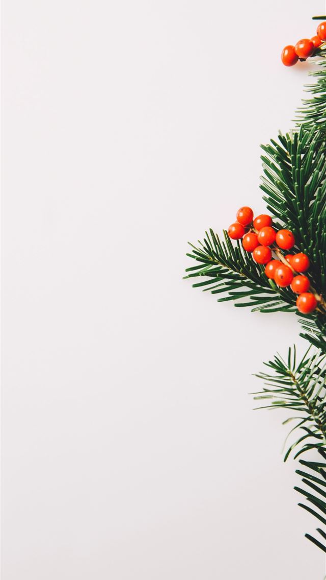 1290x2796 a branch of a christmas tree with red berries - winter iPhone Wallpaper