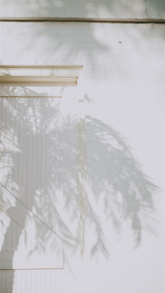 1290x2796 a shadow of a palm tree on a white wall - florida iPhone Wallpaper