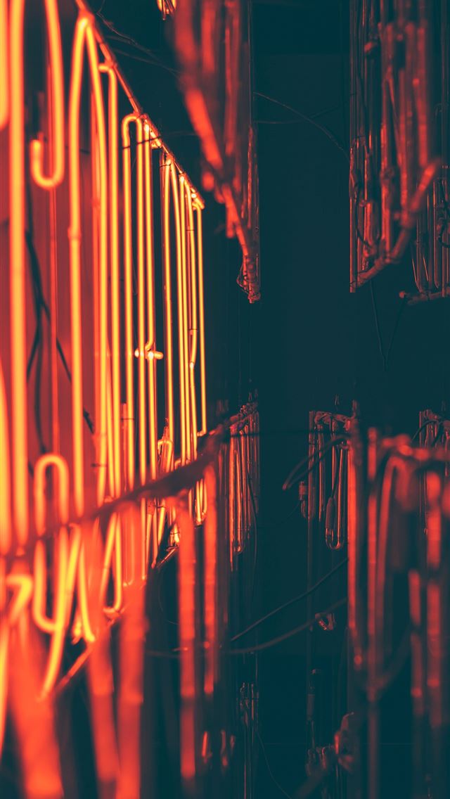 1290x2796 a row of shelves filled with lots of bottles - creative iPhone Wallpaper