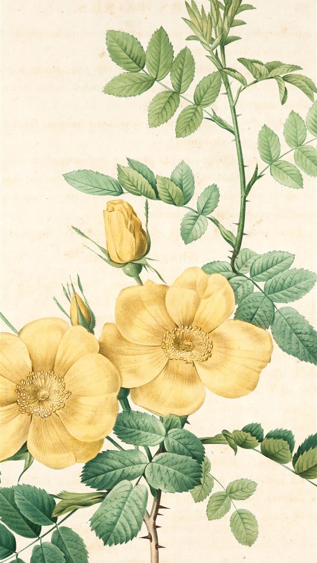 1290x2796 yellow and green flower painting - flower iPhone Wallpaper