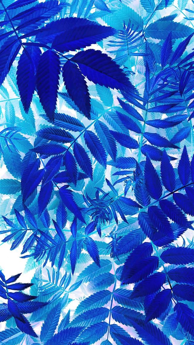 1290x2796 bunch of blue leaves on a white background - nature iPhone Wallpaper