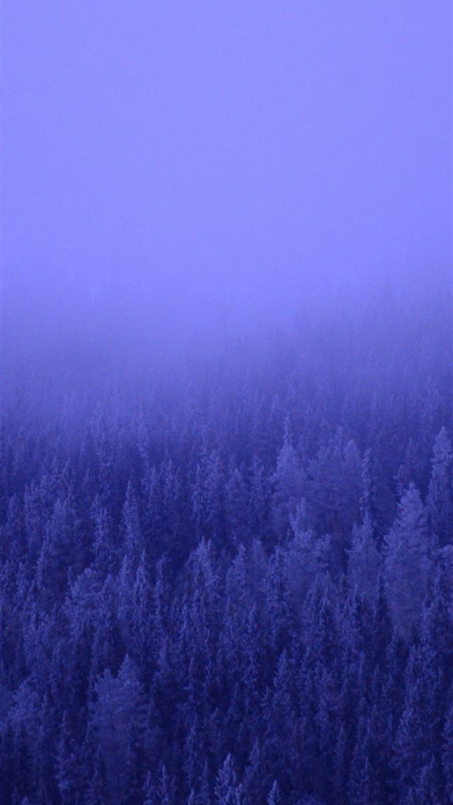 1290x2796 a foggy forest blue trees 5k - nature iPhone Wallpaper