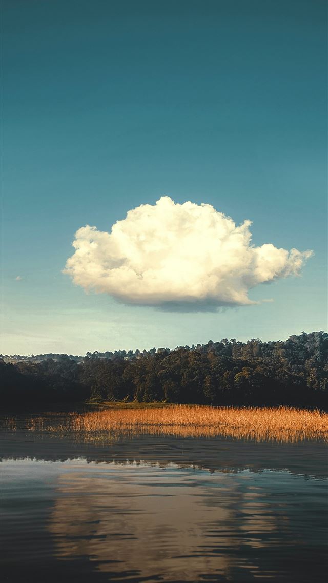 1290x2796 body of water near trees under blue sky during day... - sky iPhone Wallpaper