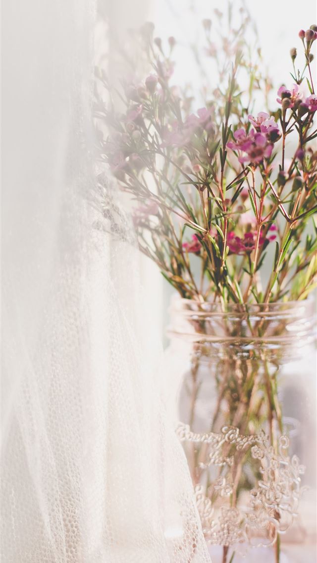 1290x2796 jar of pink petaled flower near window - pink iPhone Wallpaper