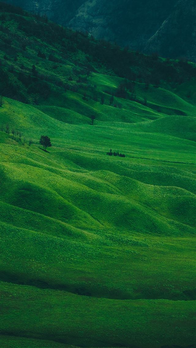 1290x2796 green grass field - mountain iPhone Wallpaper
