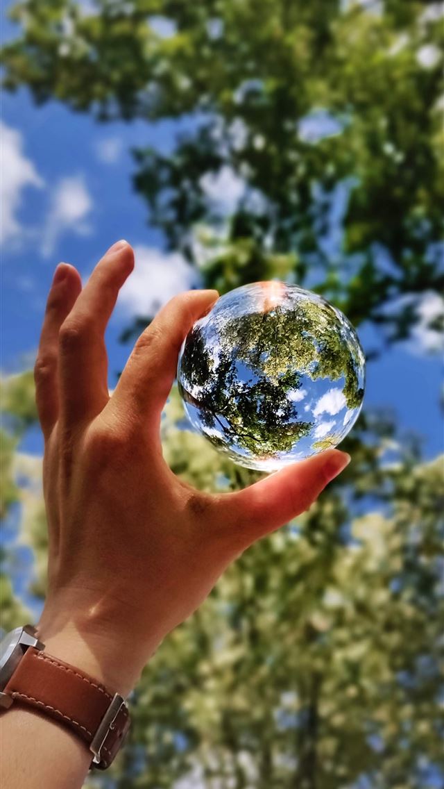 1290x2796 unknown person holding clear glass ball - trees iPhone Wallpaper