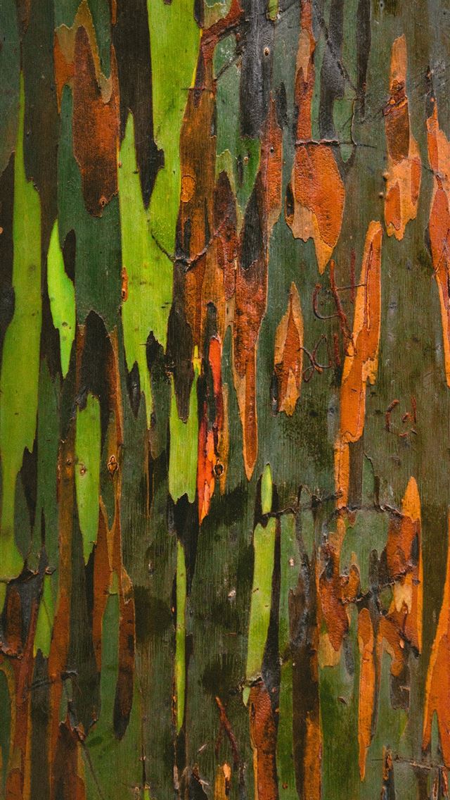 1290x2796 green orange and black abstract painting - hawaii iPhone Wallpaper