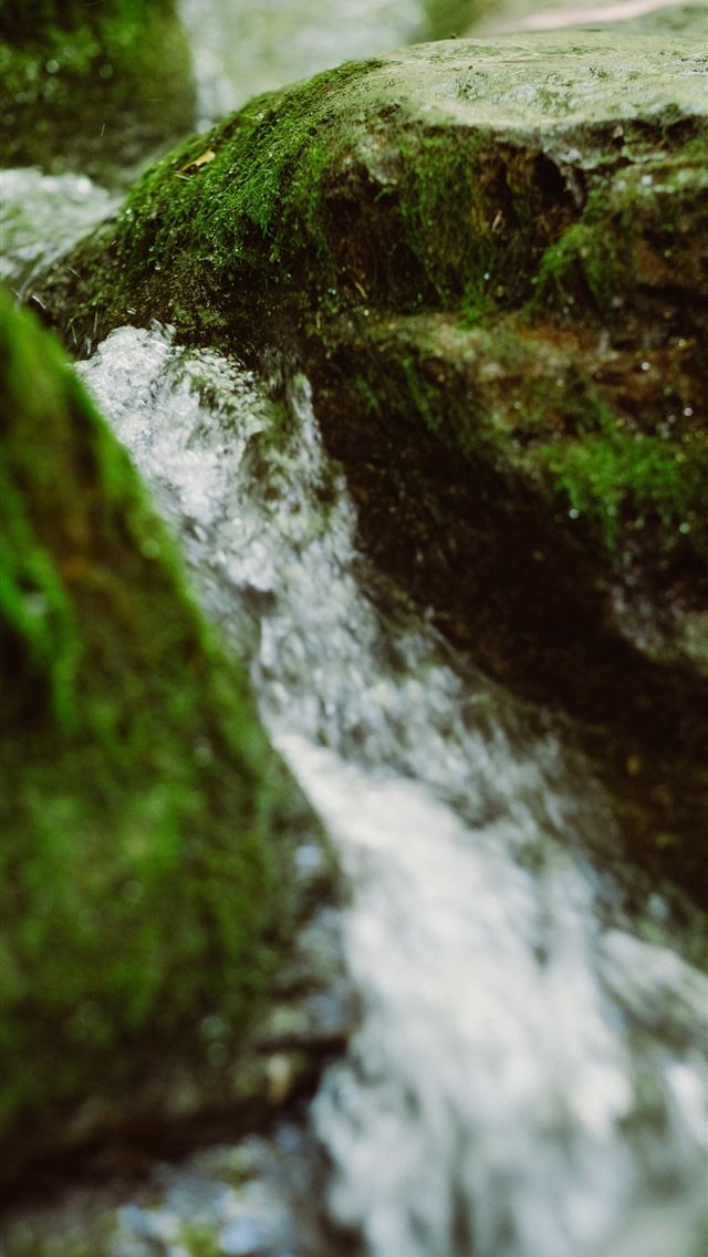 1290x2796 water flower through rocks - waterfall iPhone Wallpaper