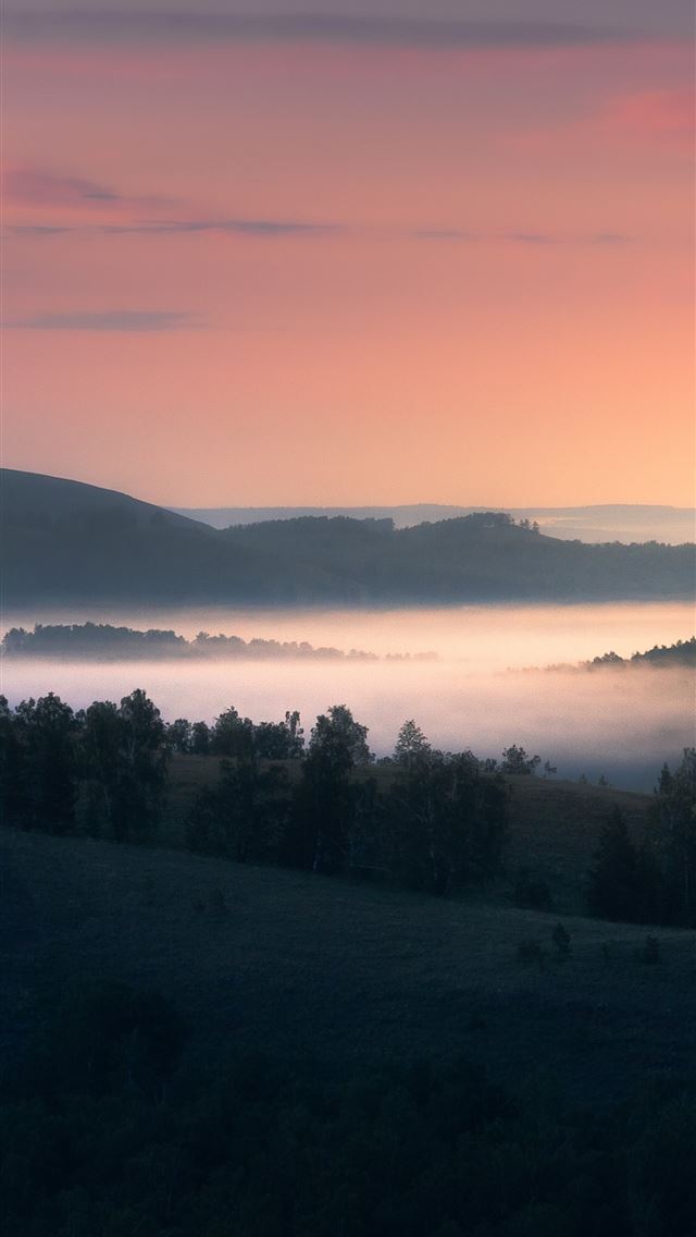1290x2796 landscape with trees and fog 5k -  iphone 14 Wallpaper