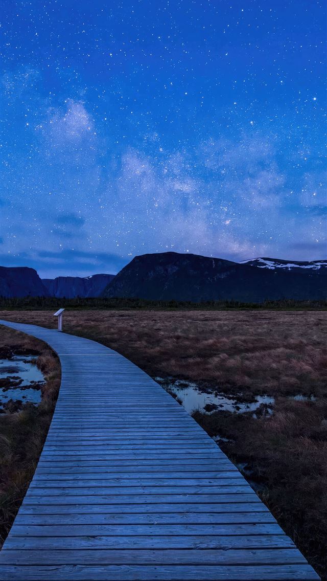 1290x2796 starry night 5k -  iphone 14 Wallpaper