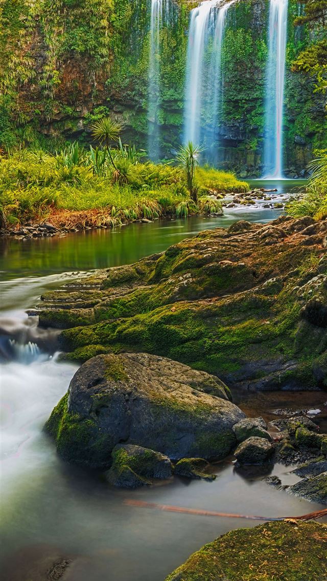 1290x2796 a waterfall flowing through a subtropical forest 8... -  iphone 14 Wallpaper