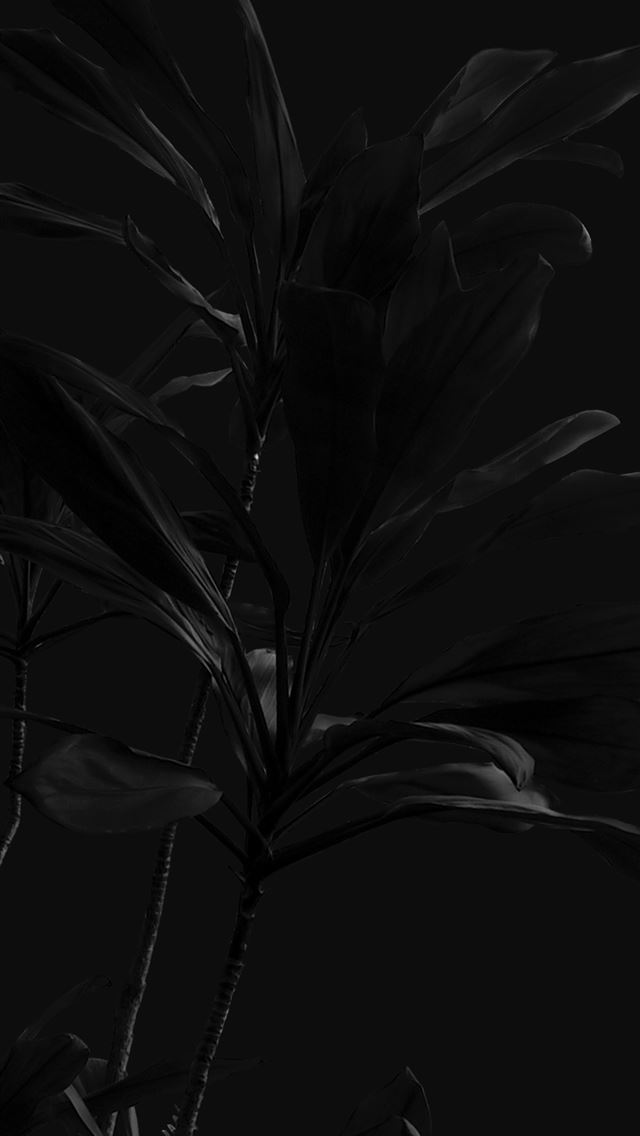 1290x2796 grayscale photo of flower in bloom -  iphone 14 Wallpaper