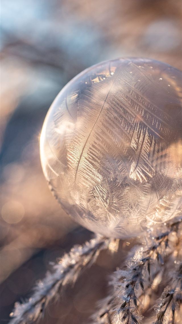 1290x2796 round water drop photo - winter iPhone Wallpaper