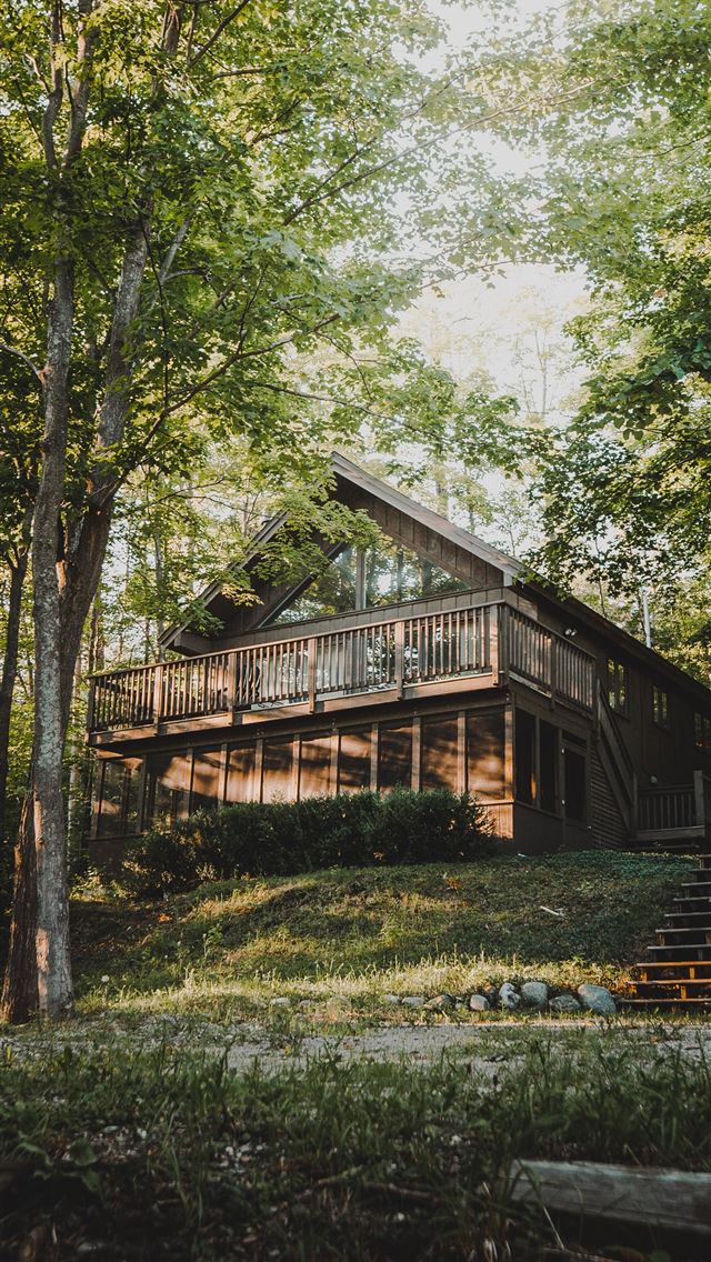 1290x2796 brown wooden house surrounded by green trees durin... - house iPhone Wallpaper