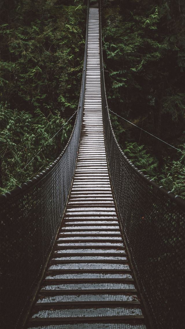 1290x2796 empty hanging footbridge through forest - woods iPhone Wallpaper