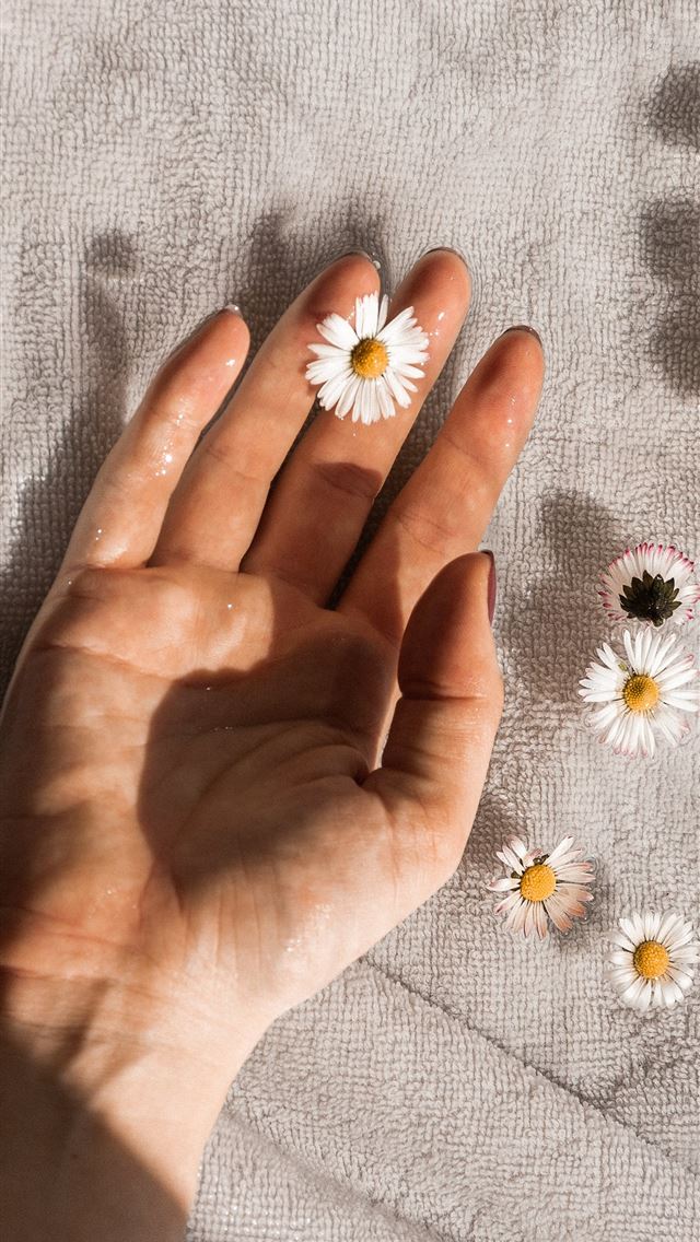 1290x2796 person holding white daisy flowers - pure iPhone Wallpaper