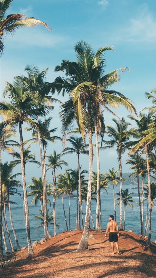 1290x2796 man wearing black shorts beside palm tree - beautiful iPhone Wallpaper