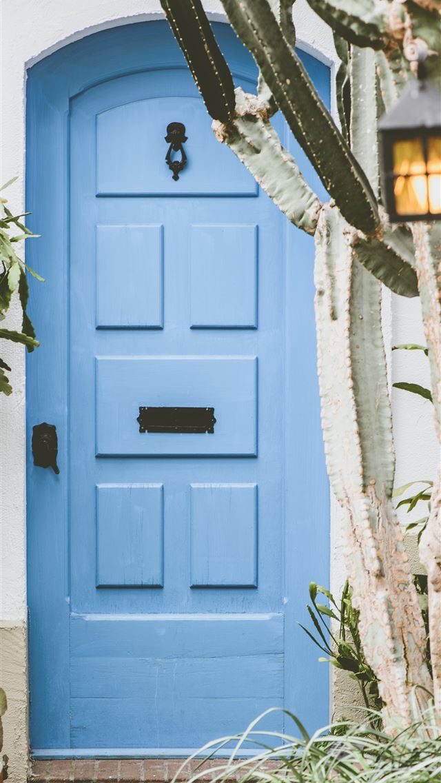 1290x2796 closed blue wooden door - spring iPhone Wallpaper