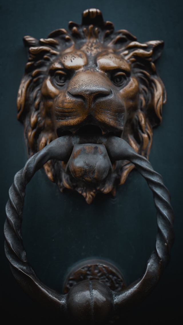 1290x2796 photo of brown and gray steel lion door knocker - lion iPhone Wallpaper