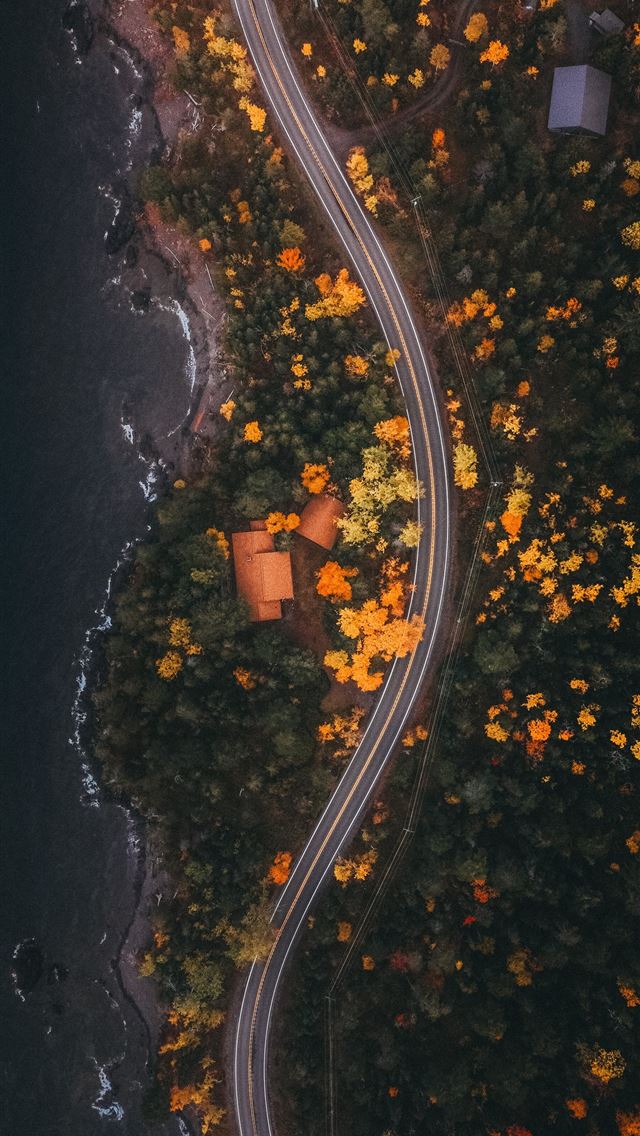 1290x2796 an aerial view of a road winding through a forest - house iPhone Wallpaper