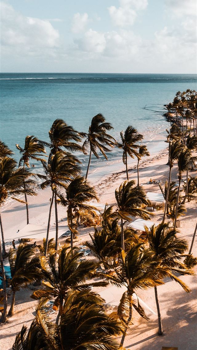 1290x2796 green trees in front of ocean - sky iPhone Wallpaper
